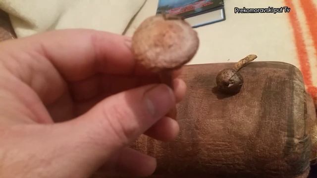 BAKRENJAK-Chroogomphus rutilus-OPREZ SAVETOVAN ZBOG MESANJA SA RODOM KORTINARIJUS-JESTIV смотреть онлайн