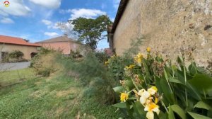 Азиатский шершень против европейского шершня  Охотник на шершня  (сезон 2023)