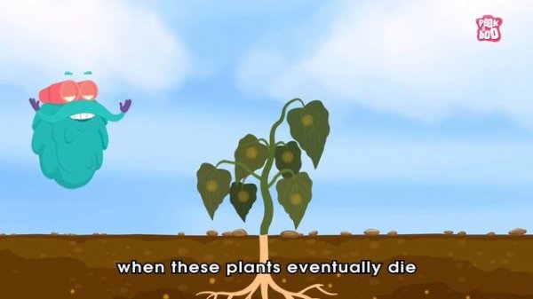 What is ACID RAIN? | Acid Rain | Dr Binocs Show | Kids Learning Video | Peekaboo Kidz