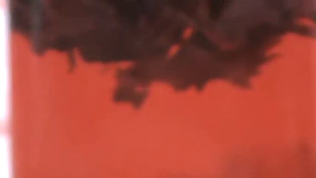 Уксус прошло 5 дней смотреть онлайн