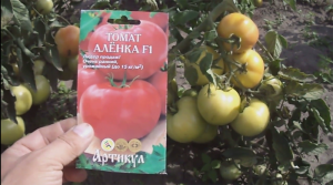 томат алёнка.mp4