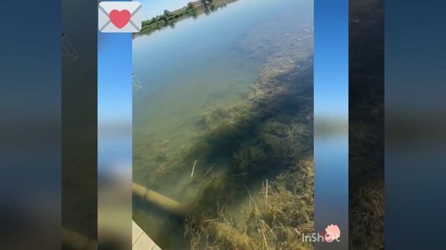 #Краскисегодняшнегодня Впечатления уходящего лета смотреть онлайн