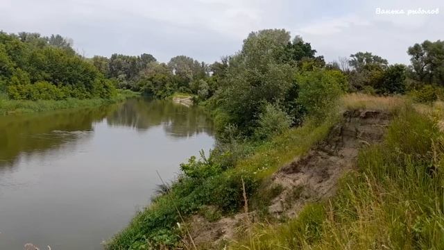 ТРОФЕЙНОЕ Эльдорадо на Реке. Рыбалка На Поплавок в июне2023. смотреть онлайн