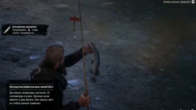 ВСЕ ЛЕГЕНДАРНЫЕ РЫБЫ Red Dead Redemption 2. Как поймать легендарную рыбу в РДР 2