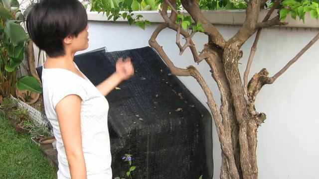 Ruth describes an old Bougainvillea from her old house смотреть онлайн