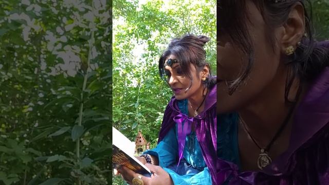 ??? Sacred Forest Oracle by Denise Linn ??? смотреть онлайн