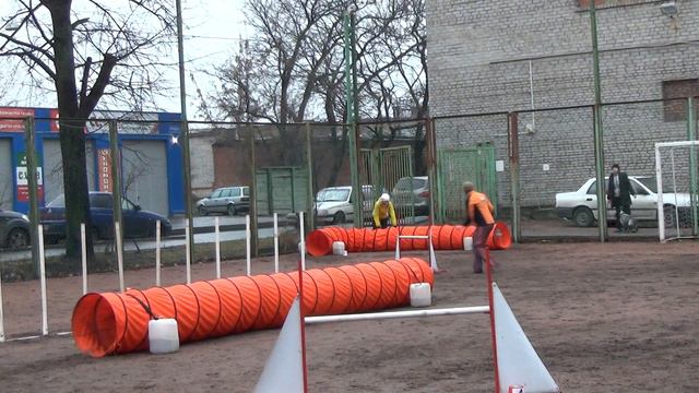 Д-Open 2/3 Large - Шинкаревич Любовь и бордер колли Твист смотреть онлайн