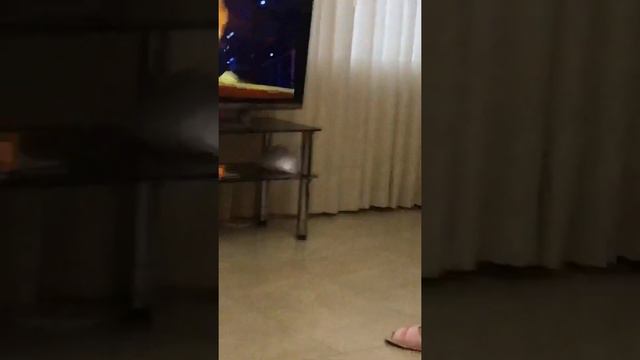 Когда дома нет интернета смотреть онлайн