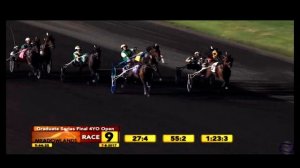 БЕГА В АМЕРИКЕ - 2017. ВЫПУСК 6. WALNER ПОБЕЖДАЕТ