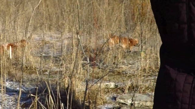 Дана и Мотя. Побегушки смотреть онлайн