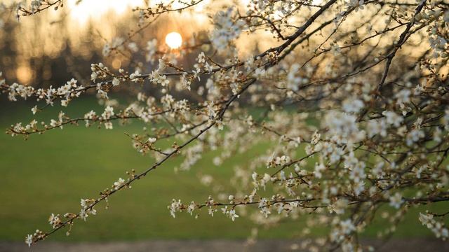 Музыка для утра и хорошего настроения. Часть 2.mp4 смотреть онлайн