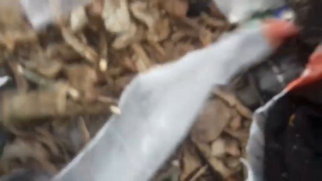 Сколько можно заработать на пивных банках. смотреть онлайн