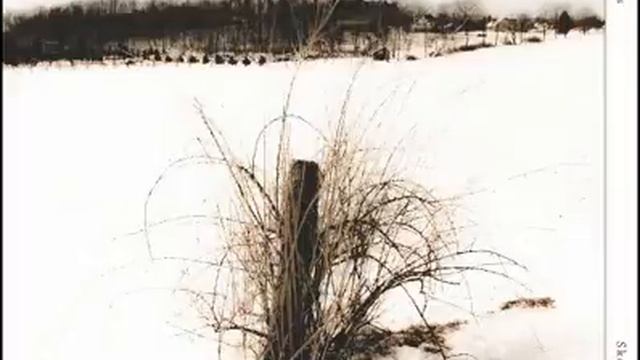 Library Tapes - First Day of Spring смотреть онлайн