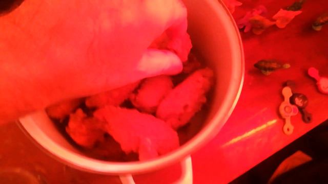 Приготовил Курицу KFC своими золотыми ручками \ 18+ смотреть онлайн