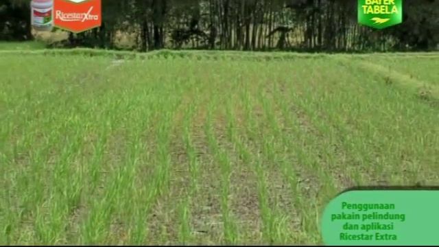 Java Art(Bayer Profile) смотреть онлайн