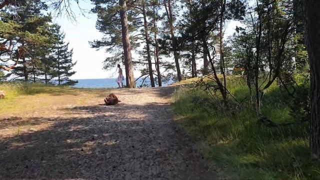 Влог.Приехали с Тарту.Купаемся голышом.Сандра уехала.Идем в гости к соседям.Подарок.Домашний влог смотреть онлайн