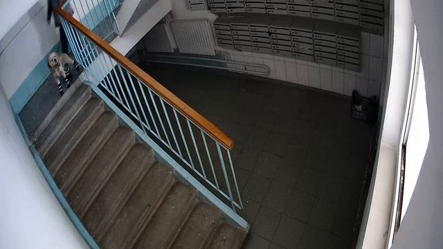 6 под лестница 2022.02.06 04 00 10 00 смотреть онлайн