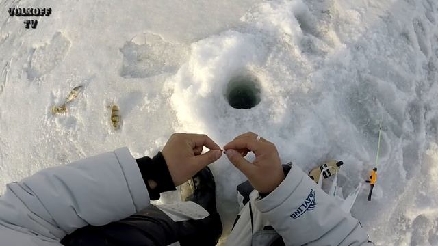 Озеро Касли рыбалка Челябинская область закрытие зимнего сезона смотреть онлайн