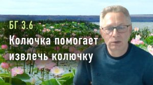2022-05-12 - БГ 3.6 - Колючка помогает извлечь колючку