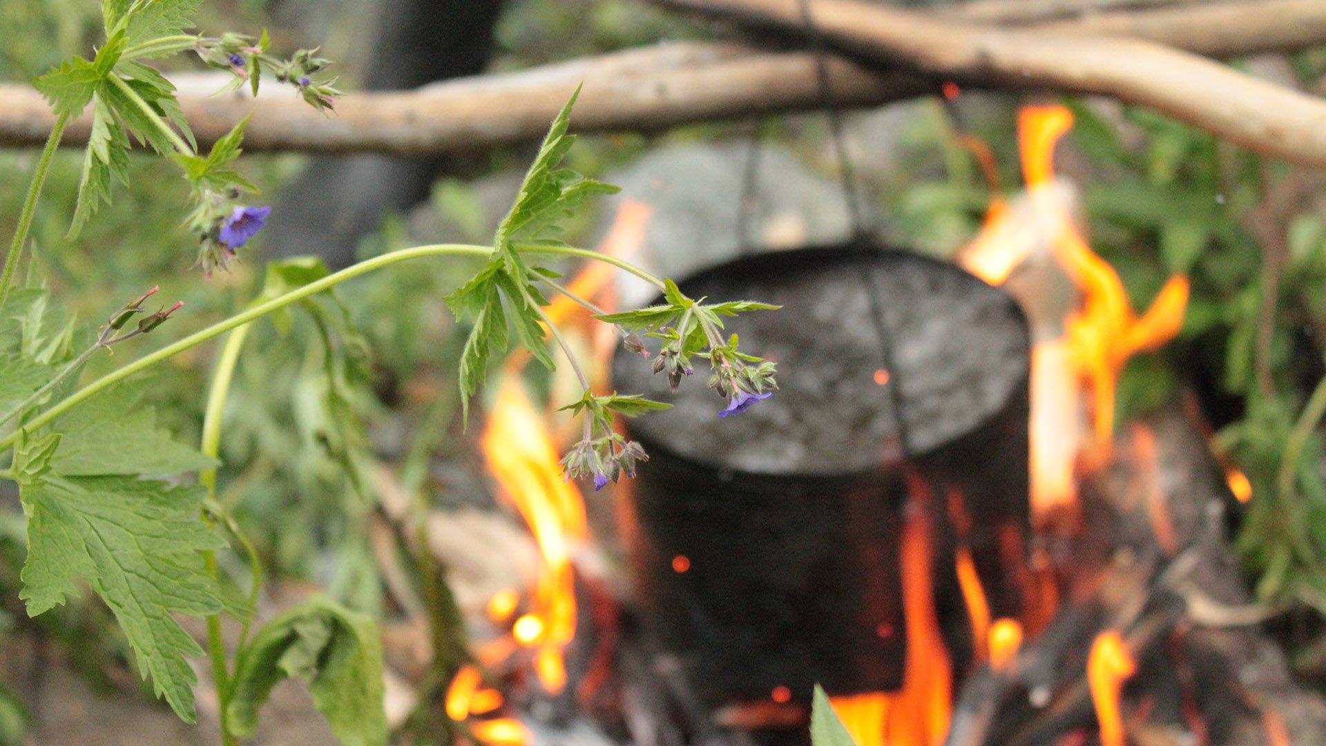Геофизические работы на месторождении Ак-Суг.mp4