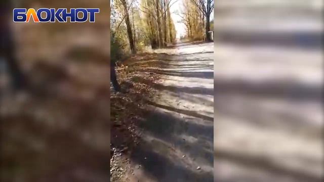«Горы земли и глубокие ямы»: волгодонцы показали «забытую» дорогу на Химиков смотреть онлайн
