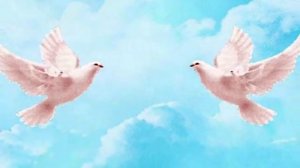 ГОЛУБИ ЦЕЛУЮТСЯ НА КРЫШЕ...