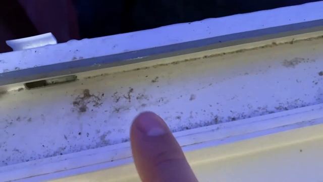 Остекление лоджии пвх остеклением и отделка лоджии панелями Мдф. #отделкабалконов #балконспб смотреть онлайн