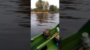 Лодка автобот ,под парсун 9,8