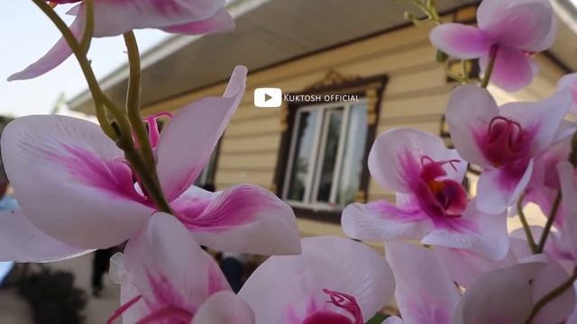 оформление заказ наша свадьба 904595989 смотреть онлайн