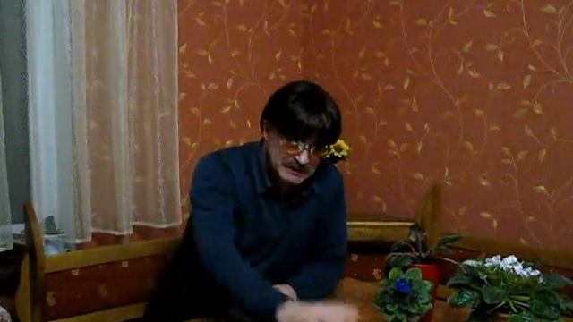 53. Сидят бабушки у подъезда.