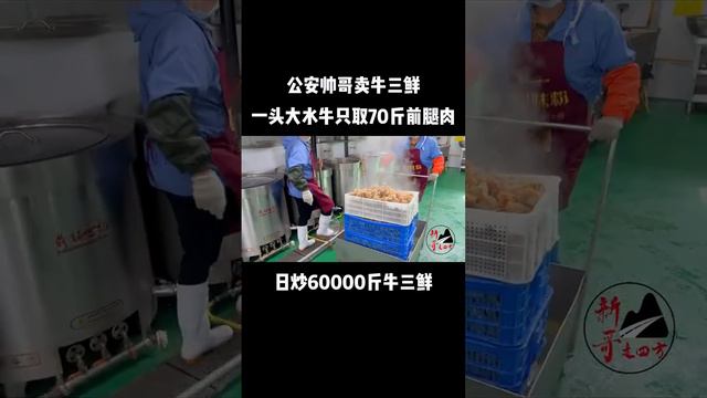 公安帅哥卖牛三鲜，一头大水牛只取70斤前腿肉，日炒60000斤牛三鲜！ смотреть онлайн