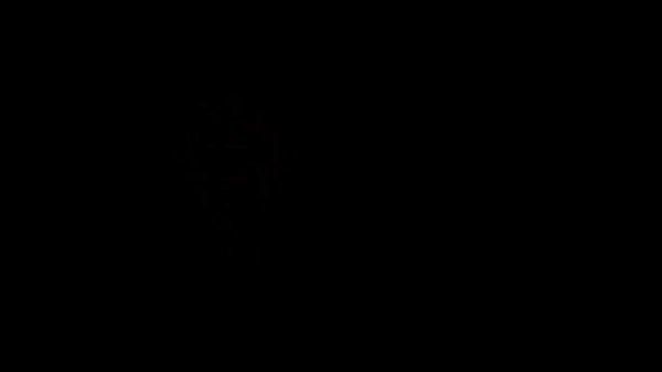 Урок технология развития критического мышления