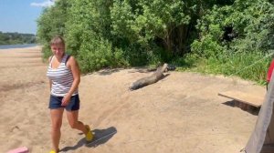 Самый лучший отдых 2022/с палаткой на реке, Часть 1