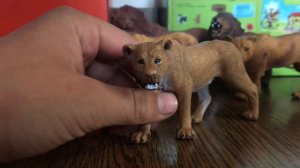 Мой прайд львов шляйх