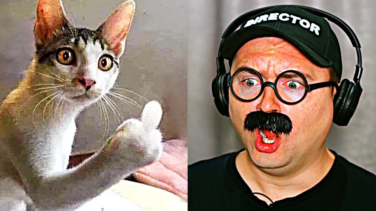 ? Попробуй не смеяться ? Лучшая подборка смешных видеороликов ? Валялся на полу от смеха ? смотреть онлайн