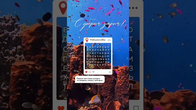 Доброе воскресное утро всем☕️🌸