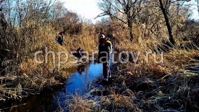 «Саратов. Сегодня» 22 ноября 2019 смотреть онлайн