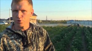 Эко36 Полив из реки Картофеля