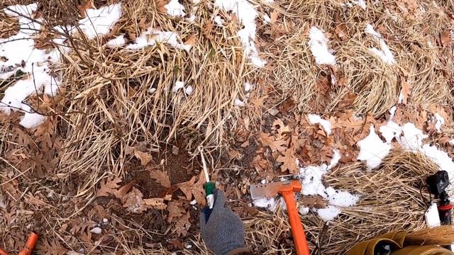 CATCHING MY 50TH COYOTE THIS SEASON! with 3 Coyote Catches Today | S4 Ep 21 смотреть онлайн