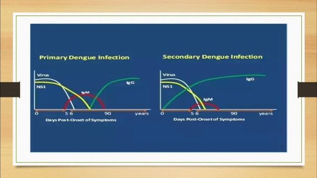 DENGUE | Lab diagnosis | Microbiology | M.B.B.S | смотреть онлайн