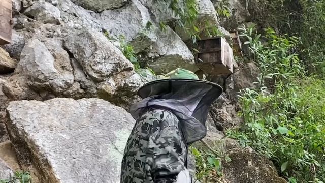 🍯Genius Girl Harvests RAW HONEY Under Siege Of Bees-Linguoer