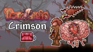 Terraria CRIMSON THEME EXTENDED | Terraria OST | Terraria Music PC | Console | Mobile