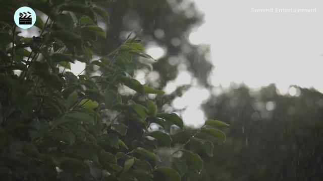 LA HISTORIA DE CHARLIE Y RENÉE | ¿COMO SE CONOCIERON Y POR QUE SE SEPARARON? смотреть онлайн