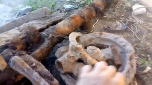 Fisher f 11. Моё мнение.MD.