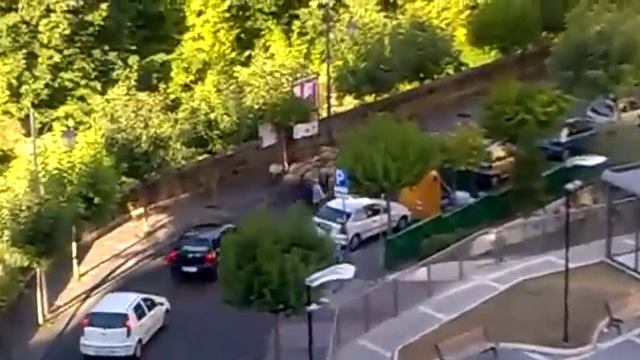 Лучшие приколы видео Стадо овец пробивается через траффик смотреть онлайн