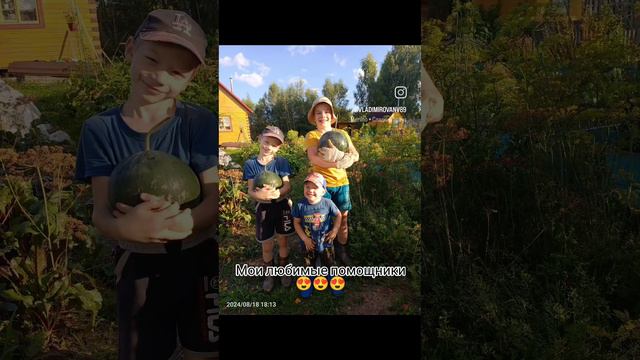 Мои любимые помощники😍😍😍