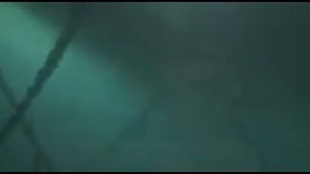 Check-Dive смотреть онлайн
