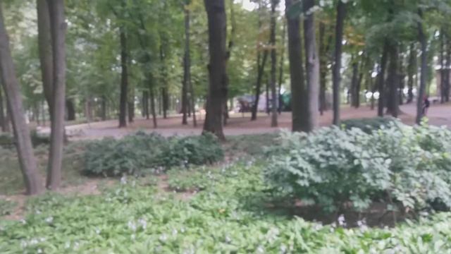 ХОЧУ ПОКРАСИТЬСЯ В ЧЕРНЫЙ ЦВЕТ/СКУЧАЕМ И ЖДЕМ ВНУЧКУ В ГОСТИ / Видео № 1213 смотреть онлайн