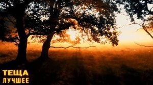 ТЕЩА- Прижалась к нему и Соблазнила! Любовные истории. Интересные истории из жизни. Аудио рассказы.