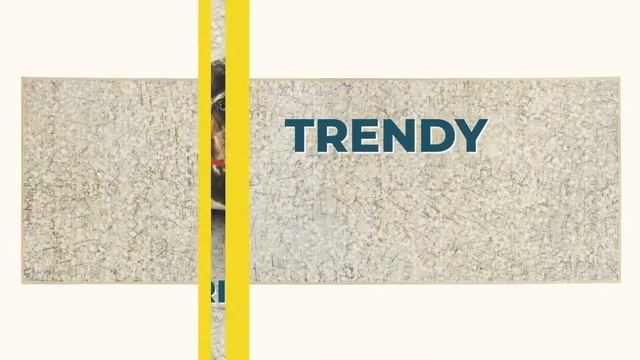 My magic carpet ad | social media ad by trefoil.studio смотреть онлайн